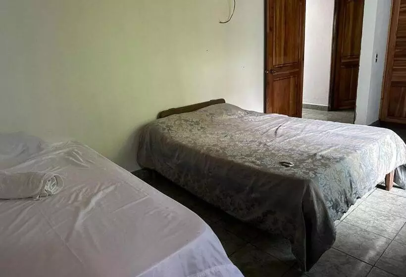 پانسیون Hostel Gaia Zo é