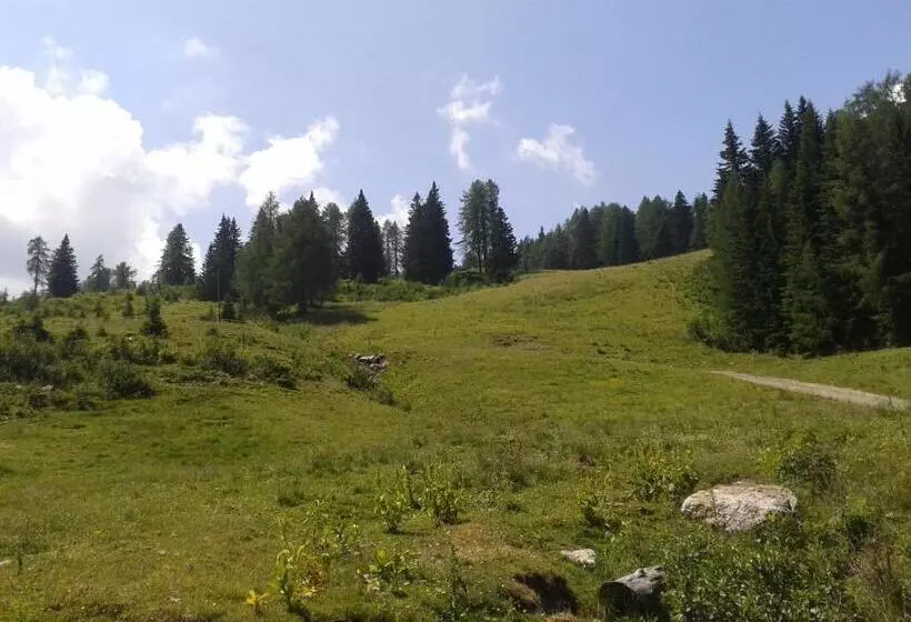 Alpenhotel Marcius