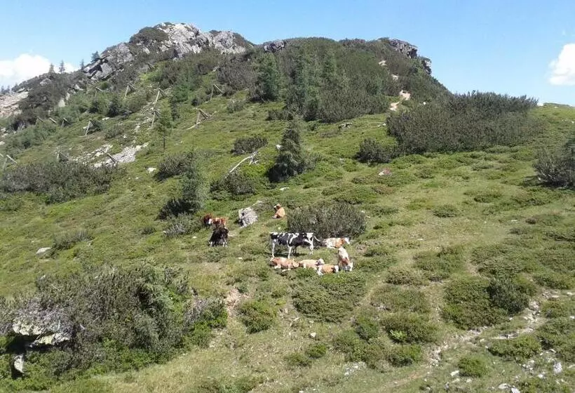 Alpenhotel Marcius