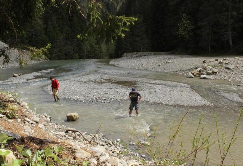 Alpenhotel Widderstein