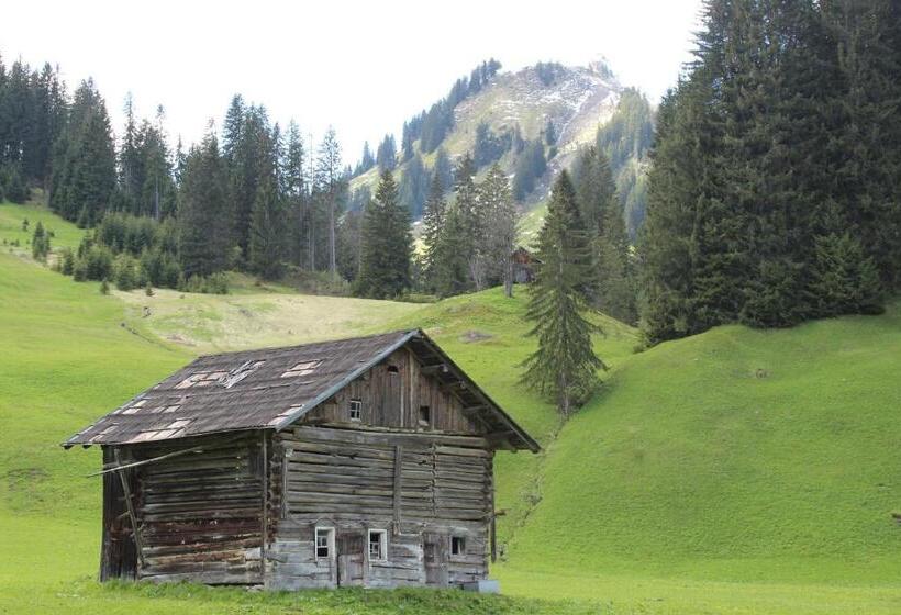 Alpenhotel Widderstein