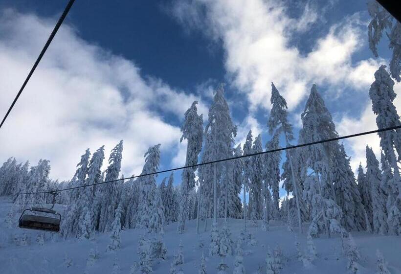 Apparthotel Restaurant Steiners