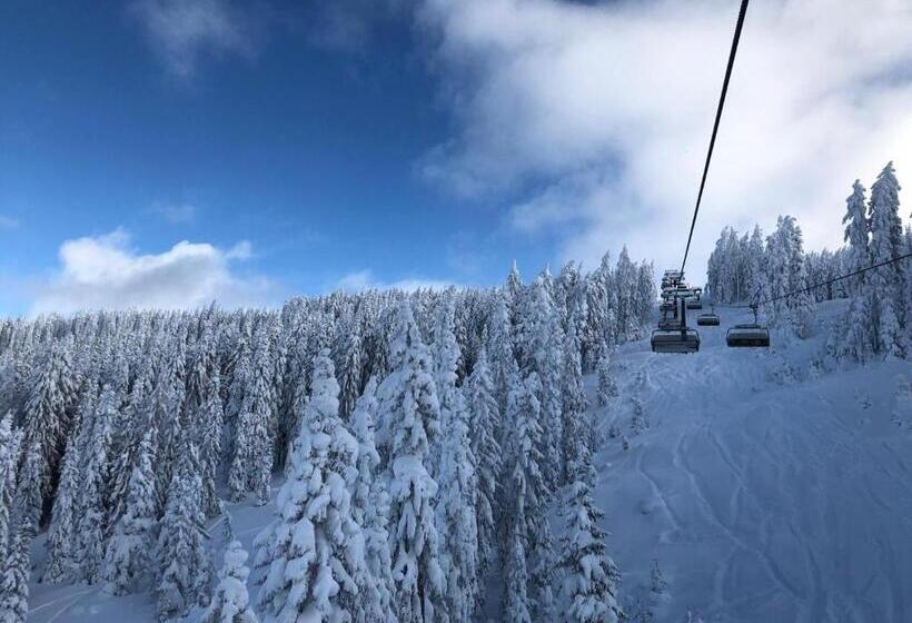 Apparthotel Restaurant Steiners