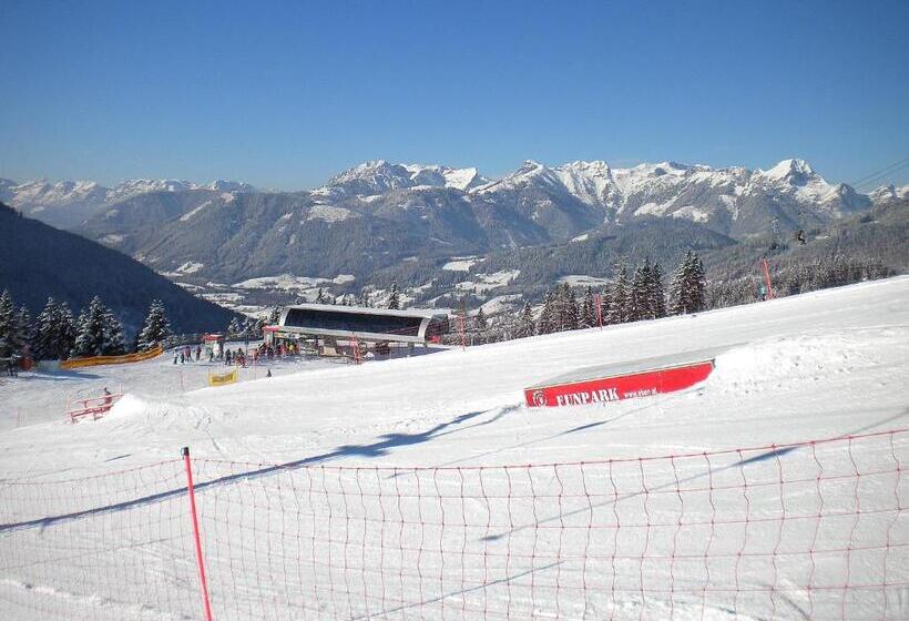 Apparthotel Restaurant Steiners