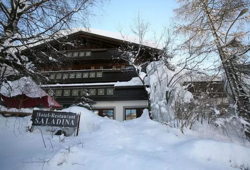 Bio Hotel Saladina