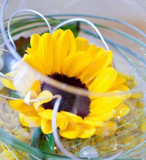 酒店 Apart Belmonte