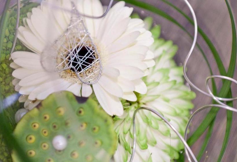 酒店 Apart Belmonte