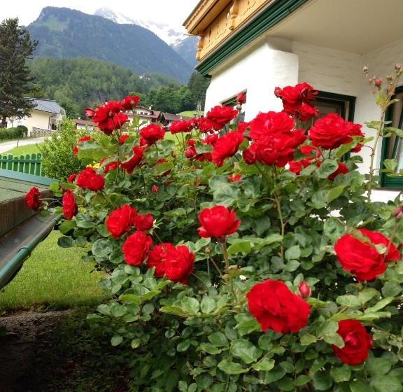 فندق Appartementhaus Zillertal