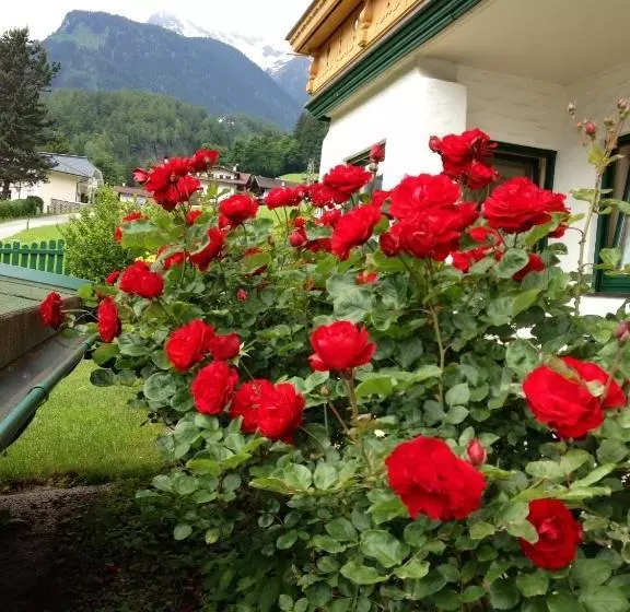 ホテル Appartementhaus Zillertal