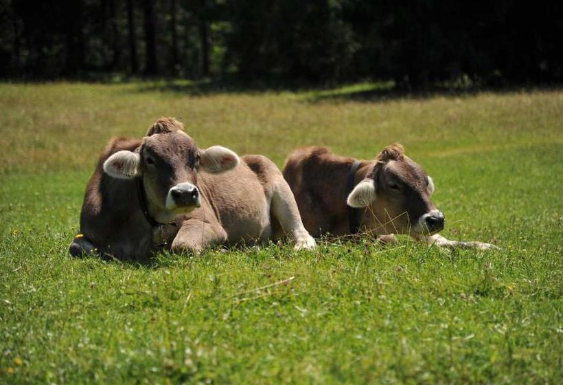 ホテル Haus Moosalm