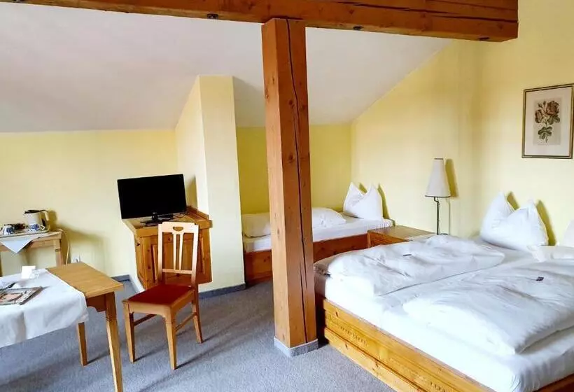 Hotelli Landgasthof Wilder Mann