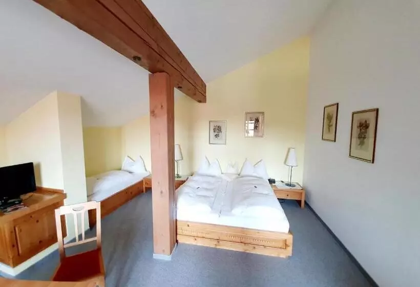 Hotelli Landgasthof Wilder Mann