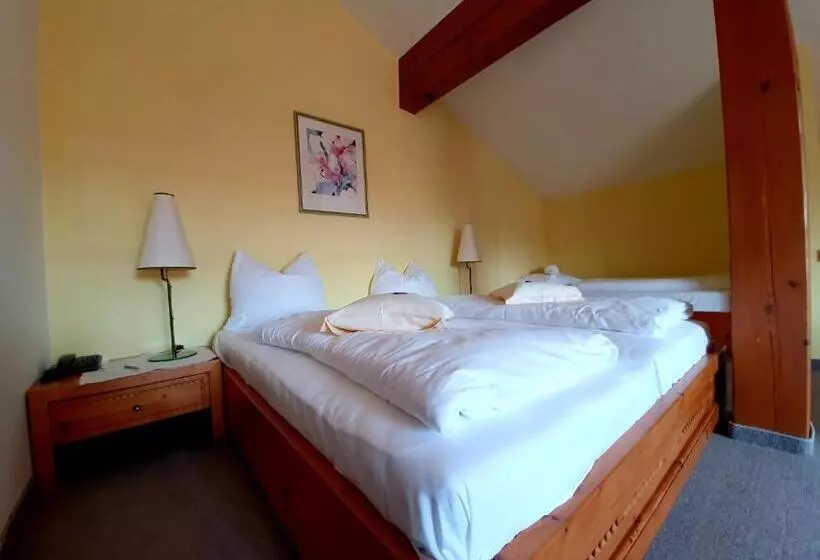 Hotelli Landgasthof Wilder Mann