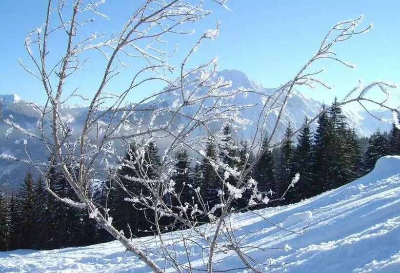ホテル Oberauhof