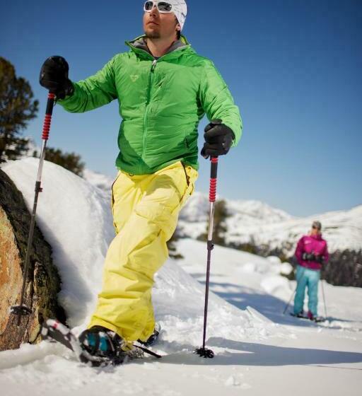 فندق Pension Tirol