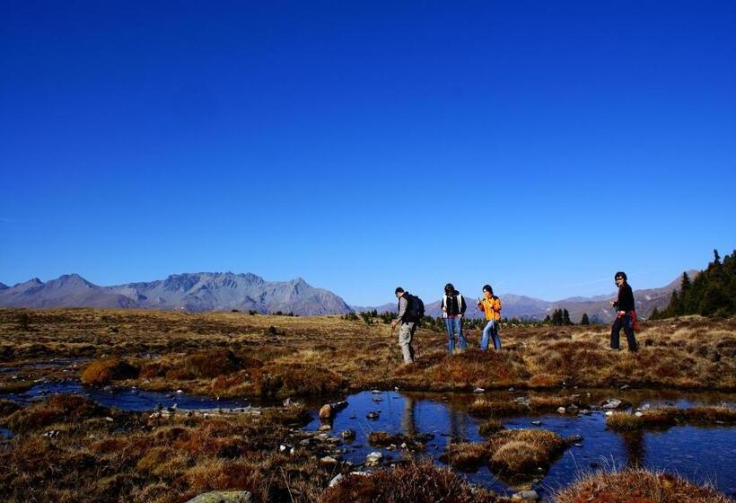 فندق Pension Tirol