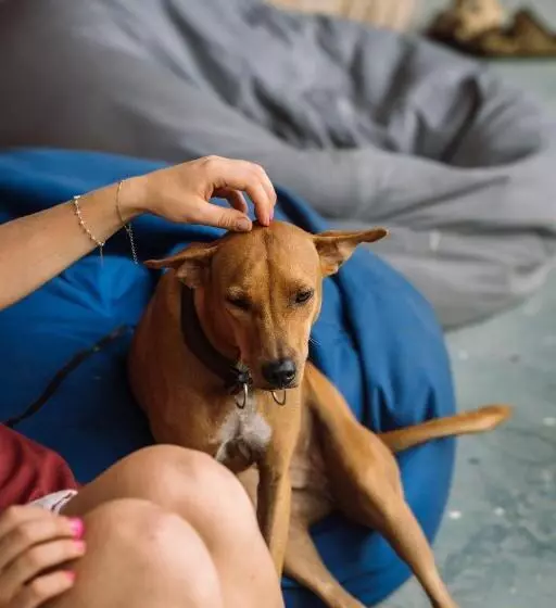 Retkeilymaja Chill Vibes Hiriketiya