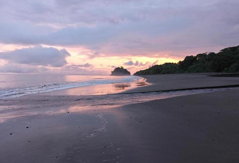 Bed & Breakfast Casa De Las Flores