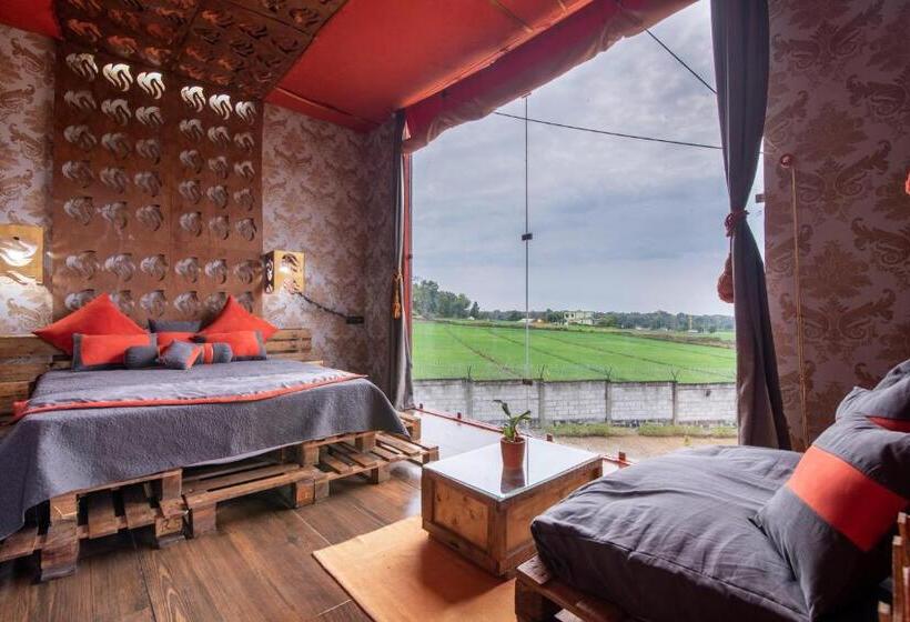 Отель Shalom Corbett’s Hillside Hideaway