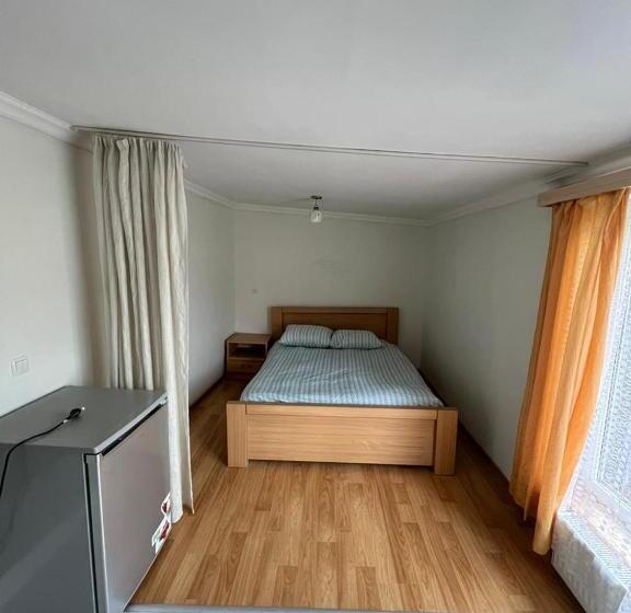 پانسیون Bakuriani Cozy Guesthouse