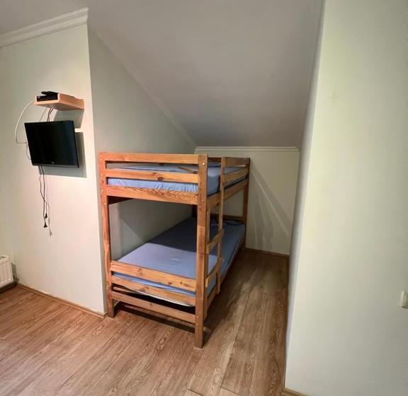 پانسیون Bakuriani Cozy Guesthouse