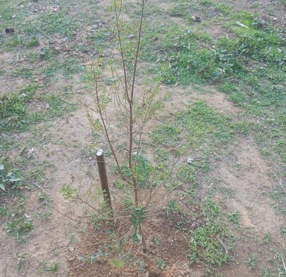 Пансион Pousada 5 Cachoeiras