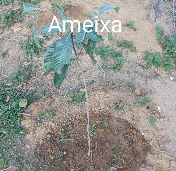 Пансион Pousada 5 Cachoeiras