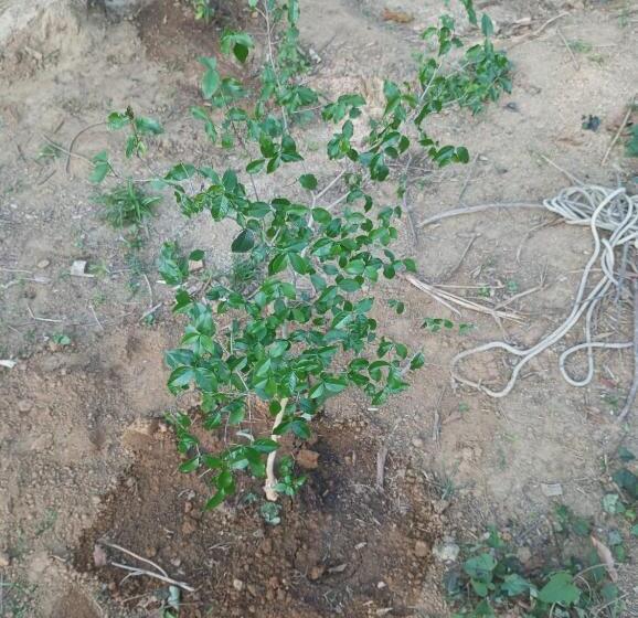 Пансион Pousada 5 Cachoeiras