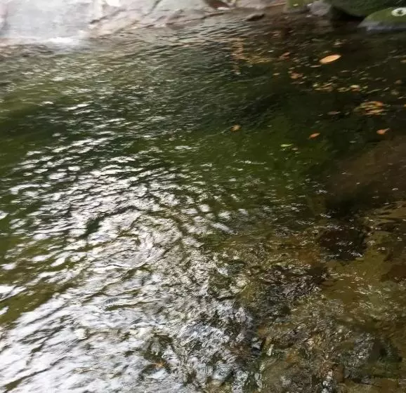 ペンション Pousada 5 Cachoeiras