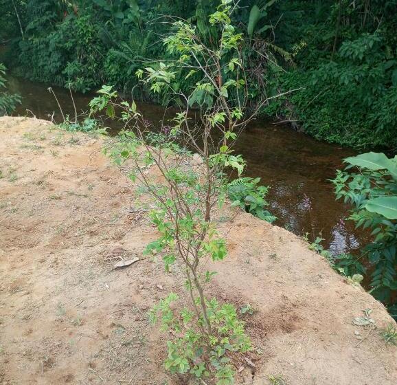 Пансион Pousada 5 Cachoeiras