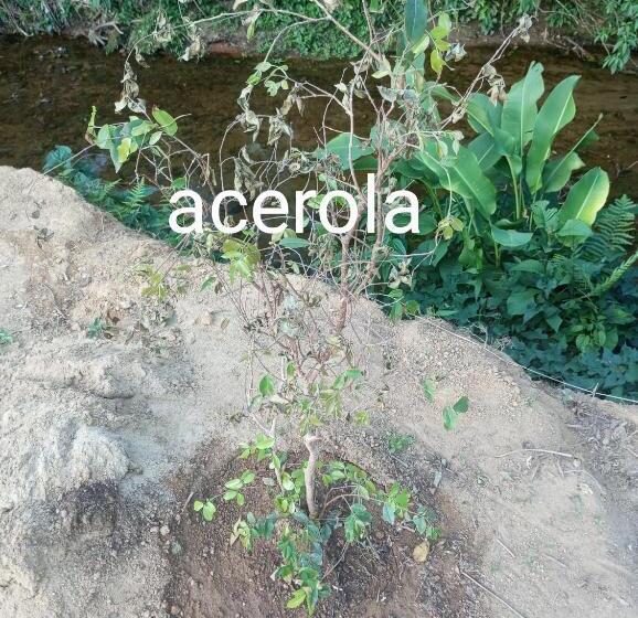 Пансион Pousada 5 Cachoeiras