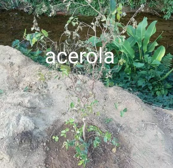 ペンション Pousada 5 Cachoeiras