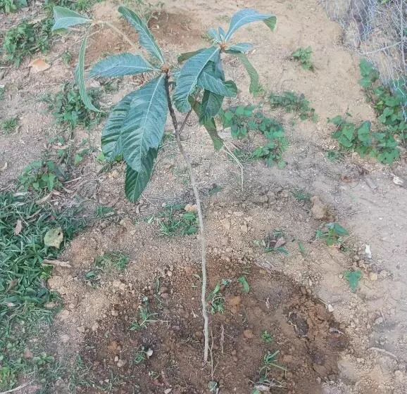 ペンション Pousada 5 Cachoeiras