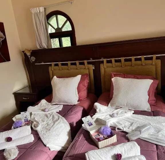 استراحتگاه Elysium Cyprus Retreat