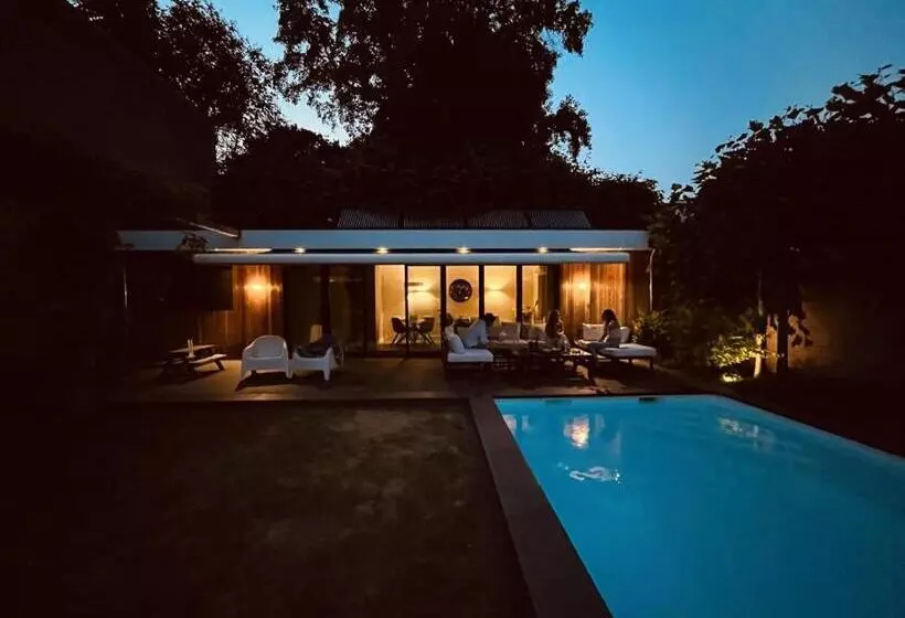 Bed And Breakfast 013 City