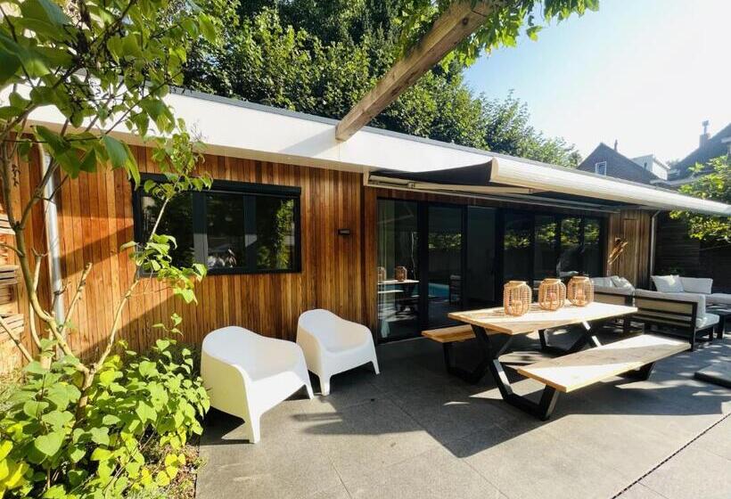 Bed And Breakfast 013 City