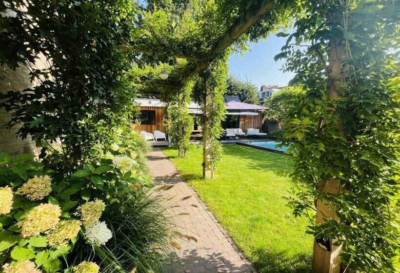 Bed And Breakfast 013 City