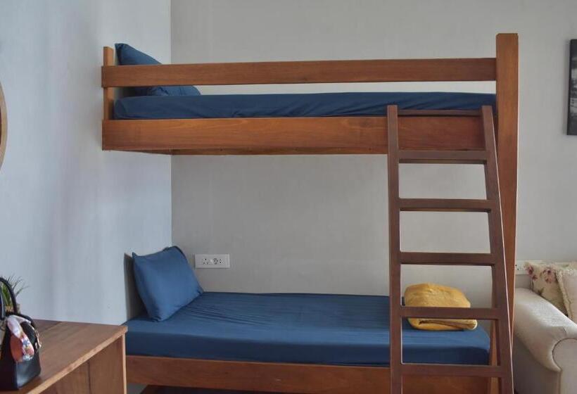 住宿加早餐  Beachbums Lodge