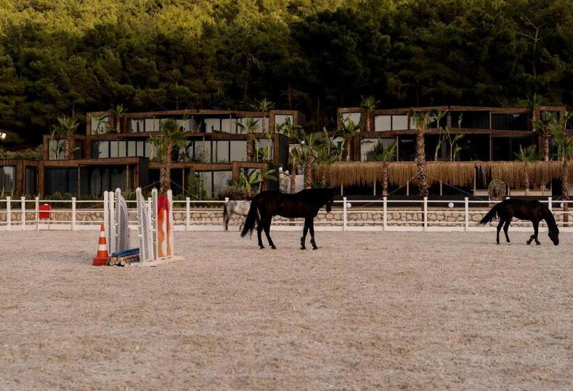 Отель Asha Country