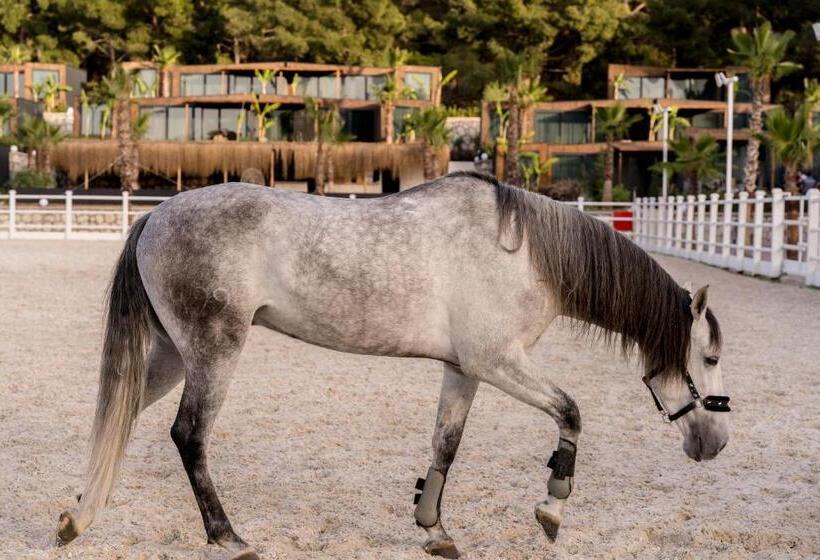 Отель Asha Country