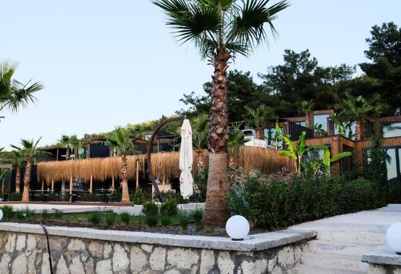 Отель Asha Country