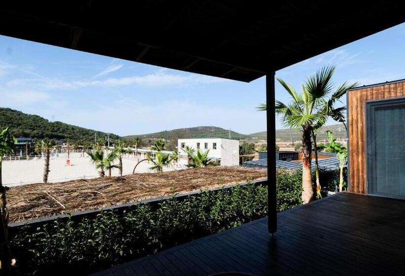 Отель Asha Country