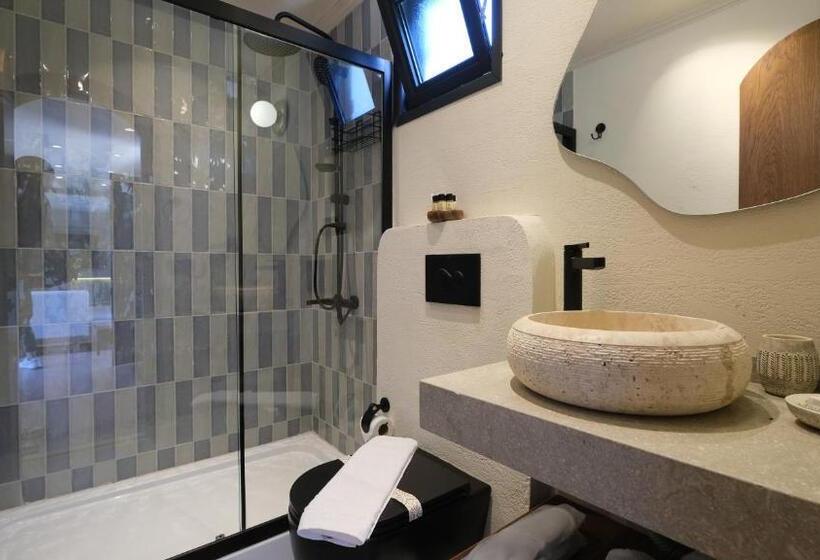 Отель Asha Country