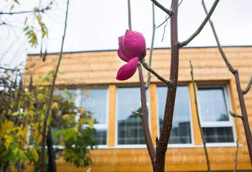 Majatalo Casa Cu Magnolii