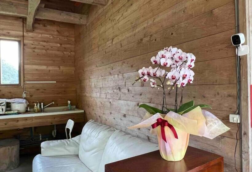 بنسيون Oasis Minamiboso Vacation Stay 04559v