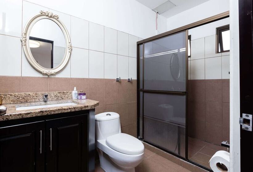 膳宿费 Viva Guest House