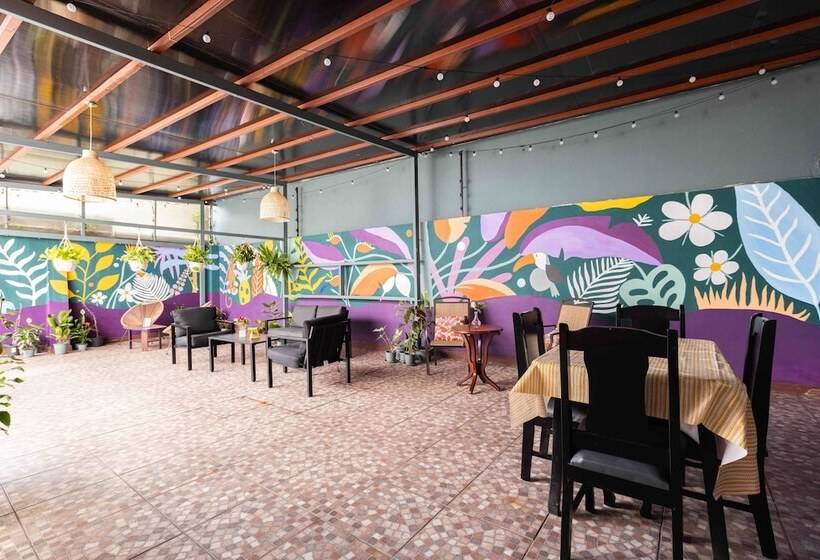 膳宿费 Viva Guest House