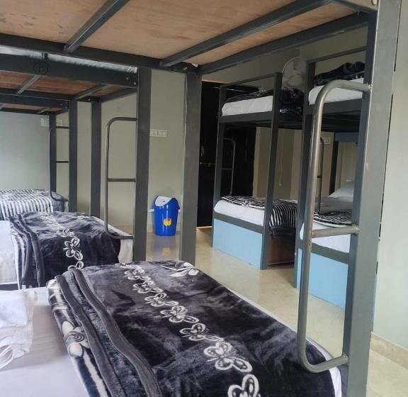 هاستل Pink City Backpackers