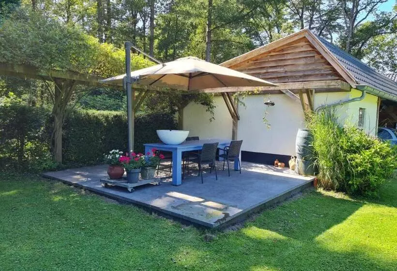 B&b De Schuilplaats