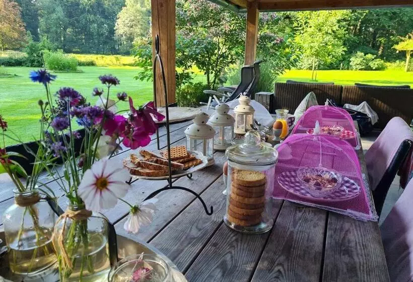 B&b De Schuilplaats